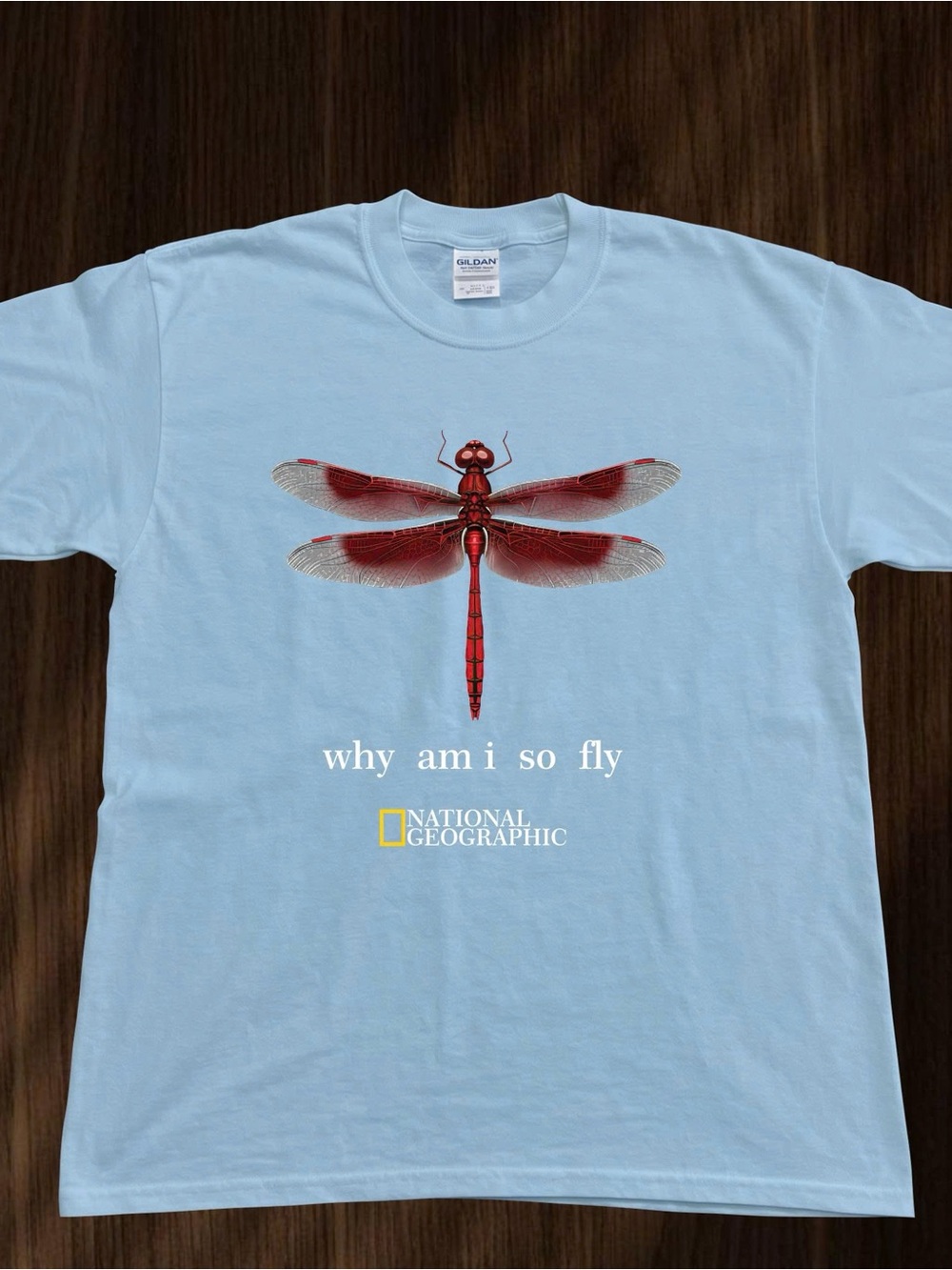 Gildan Light Blue Tee with Red Dragonfly Graphic